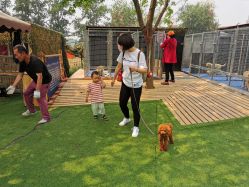 -萌宠亲子动物乐园(槐房万达店)