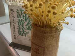 活体黄金菇-大匠工房古船木艺术餐厅·猪肚鸡专门店(长白仙岛店)