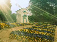 -铁山坪森林公园