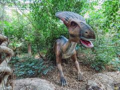 -呀路古热带植物园
