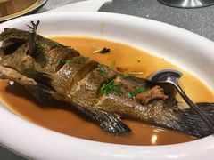 青斑-船家渔(徐州北路店)