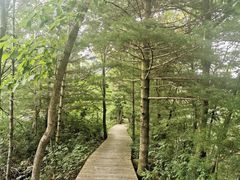 -青峰峡国家森林公园