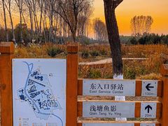 -东郊湿地公园