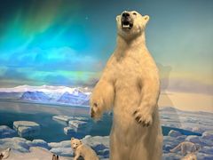 -陕西自然博物馆