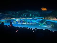 -鼎盛王朝康熙大典实景演出