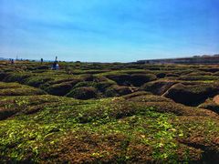 -青岛得宝湾维景国际大酒店(五四广场奥帆中心店)