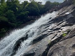 -广州白江湖森林公园