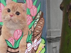 -思南公馆商业街