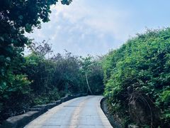 -三亚蜈支洲岛旅游区