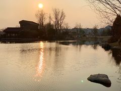 -桃花岛公园