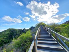 -大岭沟猕猴桃谷风景区