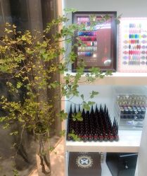 -Hi Beauty Skin 科技美肤中心