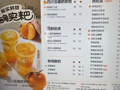 -茶百道(锦江华熙528店)