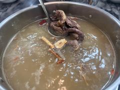 五指毛桃药膳鸽-鸽鸟轩(石岐店)