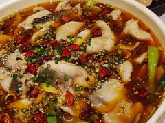 -刘胖子家常菜·蹄花焖藕(江汉路总店)