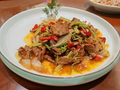 -丁老爷子苏香圆