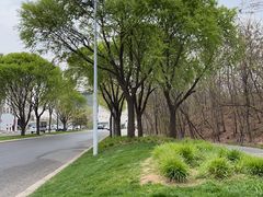 -高胖妹面庄(黄河道店)