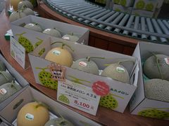 -富田农场