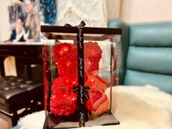 -北京科学中心儿童乐园