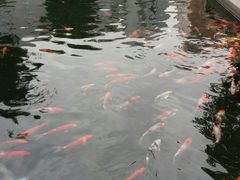 -番禺宾馆丽苑厅