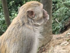 -黔灵山公园