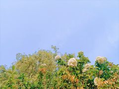 -漕湖湿地公园