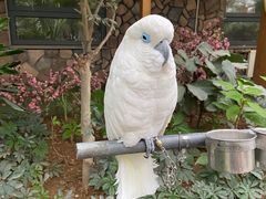 -南宫五洲植物乐园