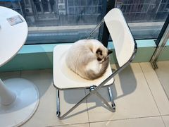 -怪兽屋·羊驼·猫咖·狗咖(俊华广场店)