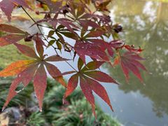 -上海植物园·停车场