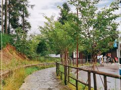 -梭布垭石林景区