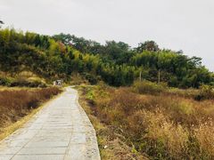 -塔川景区