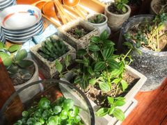 -铃木食堂(帽儿胡同店)