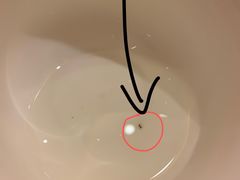 -凤凰轩·尾牙宴·生日宴(十里银滩店)