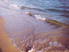 亚龙湾红树林度假酒店-三亚亚龙湾红树林度假酒店