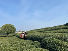 -午潮山国家森林公园