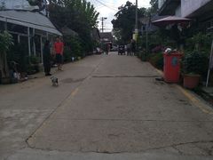 -金陵花卉交易市场