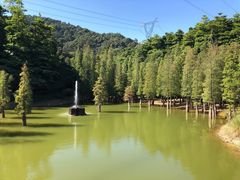 -广州市帽峰山景区