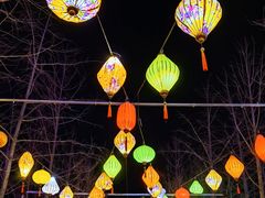 -南宫五洲植物乐园