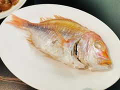 大眼鸡鱼饭-吴记富苑(朝阳店)