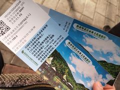 -呀诺达热带雨林