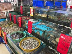 -鑫鸿达·海鲜闽菜热炒小馆(中山路店)