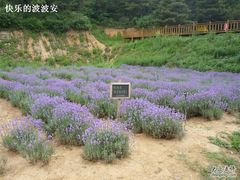 -云峰山自然风景区