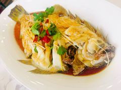 -老苏扬饭店