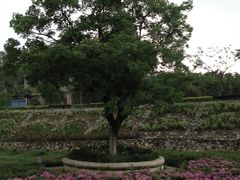 -江苏科技大学(梦溪校区)