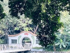 -东山湖公园