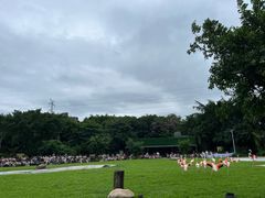 -广州长隆飞鸟乐园