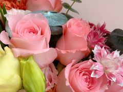 -田园花舍花店(北城未来实体店)