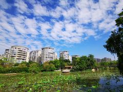 -金山公园