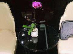 -北京泰富酒店-柏景轩中餐厅