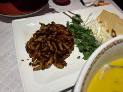 -大鸭梨烤鸭·北京菜(南小街/南苑店)